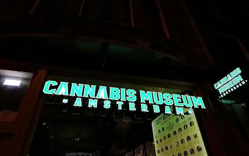 Museo de cannabis