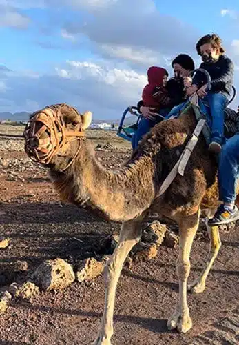 montar camello fuerteventura