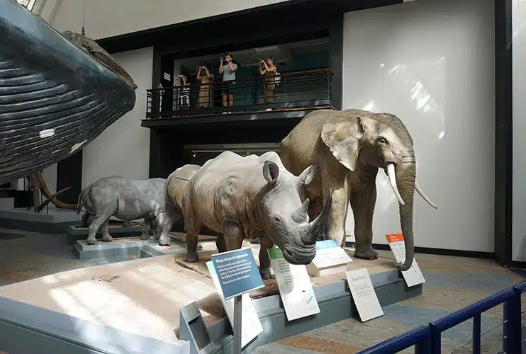 Museo de Historia Natural de Londres
