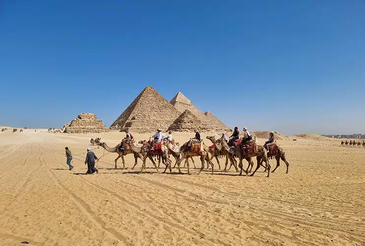 Maltrato animal en las pirámides de Giza