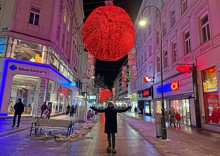 Luces navideñas de Viena
