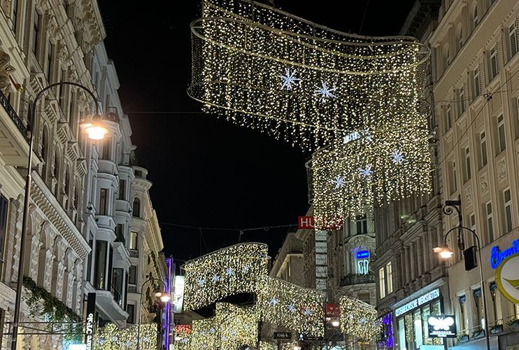 Luces de Navidad de Viena