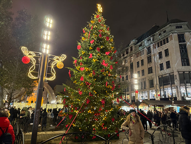 Mercado navideño Budapest de la Plaza Vörösmarty