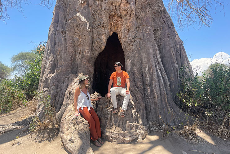Baobab en Tarangire