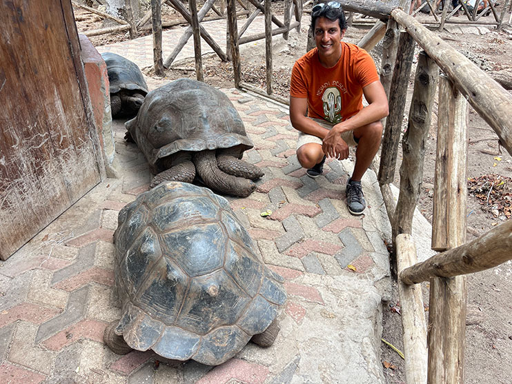 Qué ver y hacer en Zanzíbar: centro de conservación de tortugas
