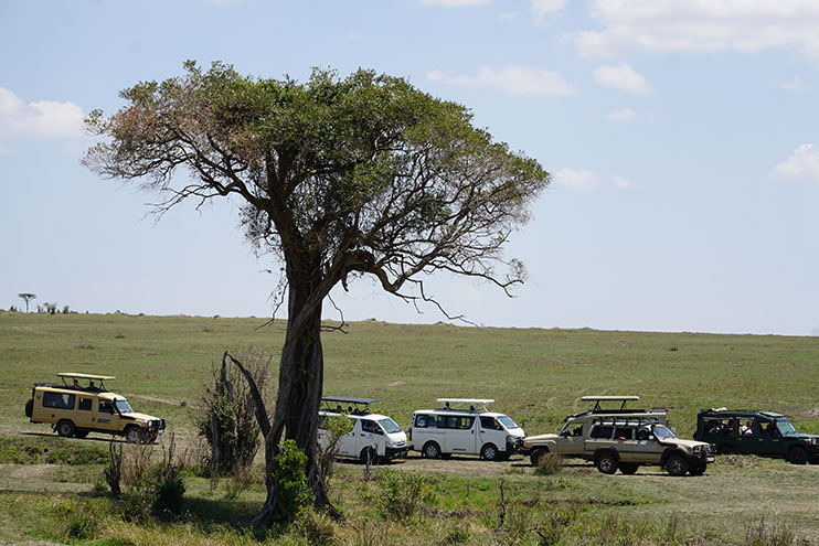 Viajar a Kenia: los mejores safaris