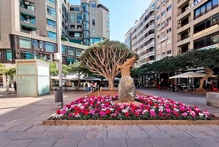 Plaza el Chicharro Santa Cruz de Tenerife