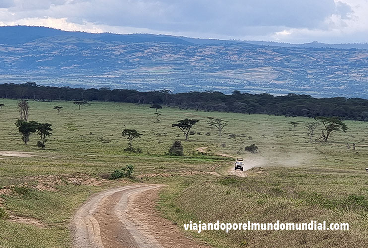 Conducir en los parques de Kenia