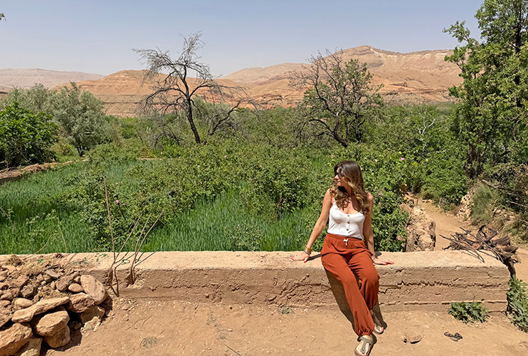 Cómo visitar el valle de las rosas en Marruecos