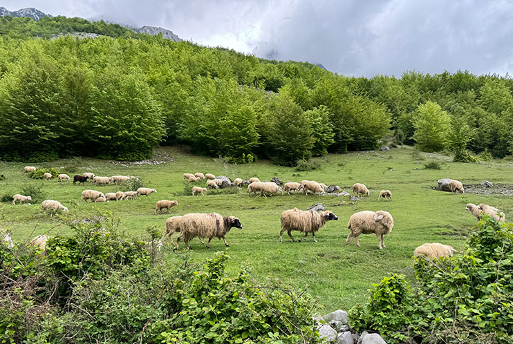 Qué ver en los Alpes albaneses