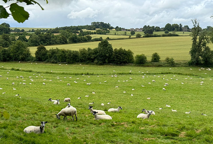 Ruta por los Cotswolds