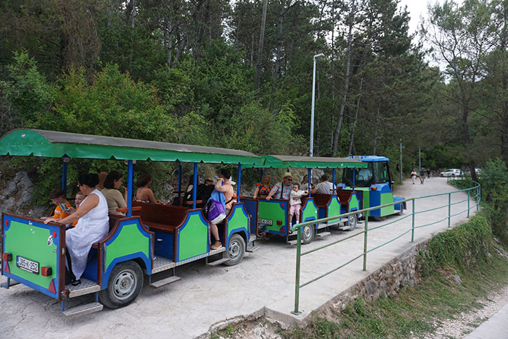 Tren en las cascadas de Kravice