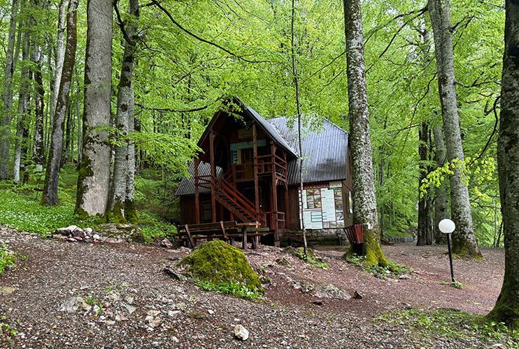 Centro de visitantes de Biogradska Gora