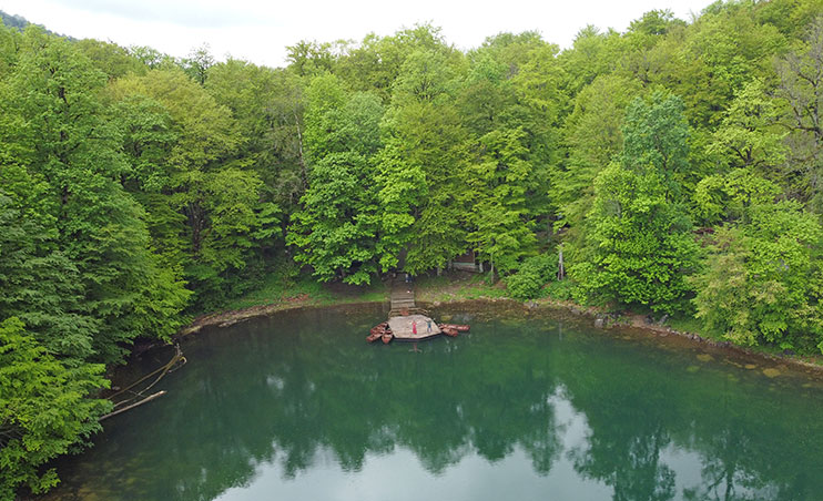 Cómo visitar el Parque Biogradska Gora