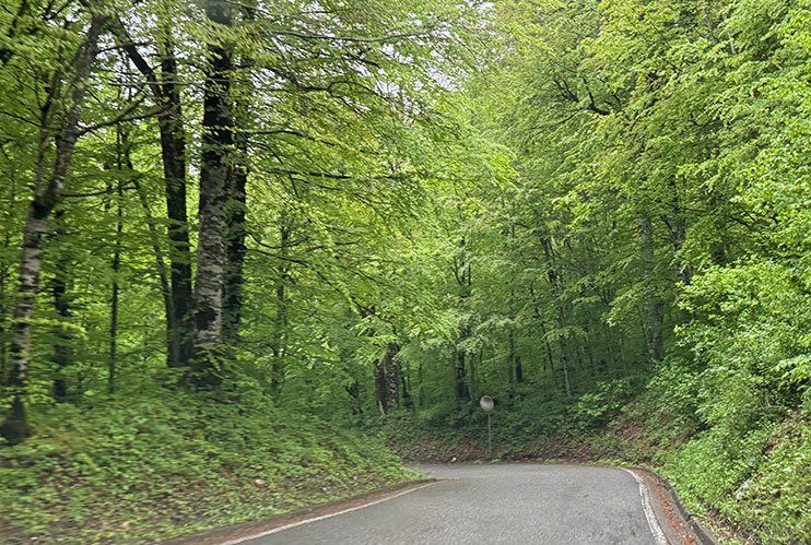 Cómo visitar el parque Biogradska Gora