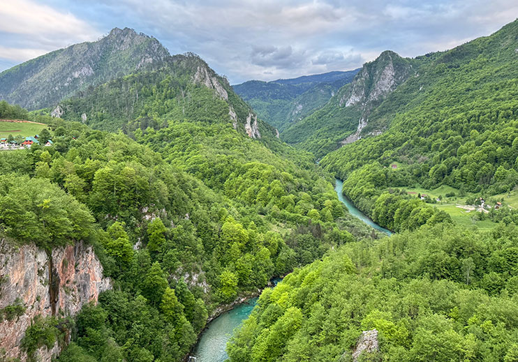 Cañón del Tara