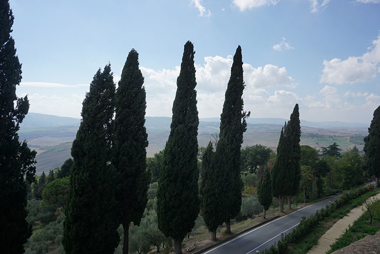 Cómo llegar a Pienza