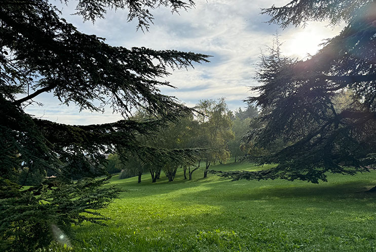 Parque arqueológico Enrico Fiumi Volterra