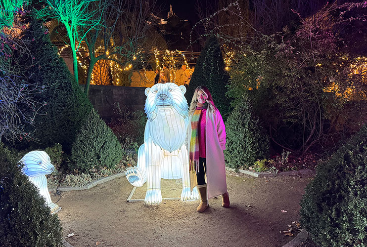 Qué hacer en Salamanca en Navidad: senda de los animales de hielo